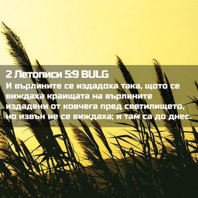 Picture 02 - 2 Летописи 5:9 BULG - И върлините се издадоха - Bible Verse Picture