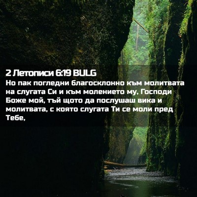 Picture 02 - 2 Летописи 6:19 BULG - Но пак погледни - Bible Verse Picture