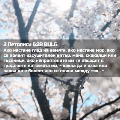 Picture 02 - 2 Летописи 6:28 BULG - Ако настане глад на земята, - Bible Verse Picture