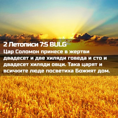 Picture 02 - 2 Летописи 7:5 BULG - Цар Соломон принесе в - Bible Verse Picture