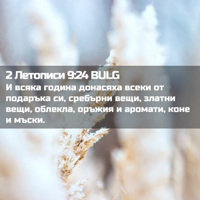 Picture 02 - 2 Летописи 9:24 BULG - И всяка година донасяха - Bible Verse Picture
