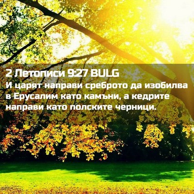 Picture 02 - 2 Летописи 9:27 BULG - И царят направи среброто - Bible Verse Picture