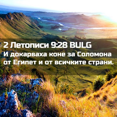 Picture 02 - 2 Летописи 9:28 BULG - И докарваха коне за - Bible Verse Picture