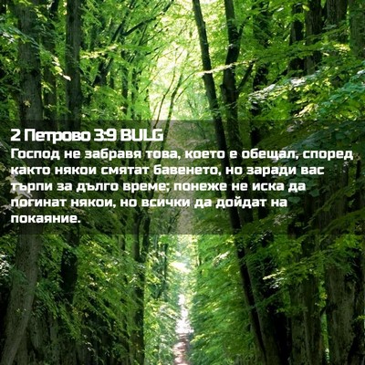 Picture 02 - 2 Петрово 3:9 BULG - Господ не забравя това, - Bible Verse Picture