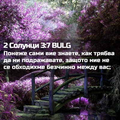 Picture 02 - 2 Солунци 3:7 BULG - Понеже сами вие знаете, как - Bible Verse Picture