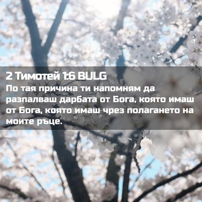 Picture 02 - 2 Тимотей 1:6 BULG - По тая причина ти напомням - Bible Verse Picture