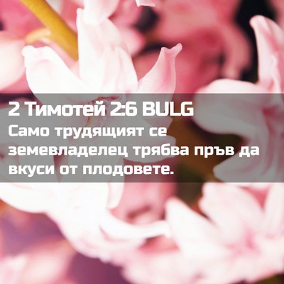Picture 02 - 2 Тимотей 2:6 BULG - Само трудящият се - Bible Verse Picture