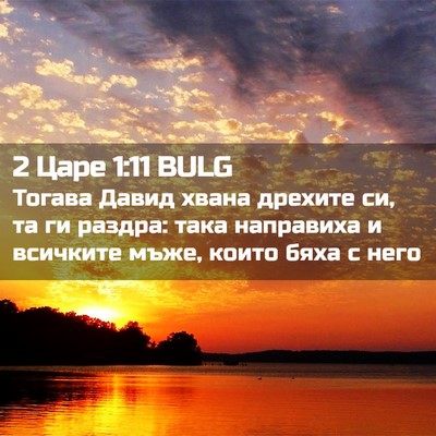 Picture 02 - 2 Царе 1:11 BULG - Тогава Давид хвана дрехите - Bible Verse Picture