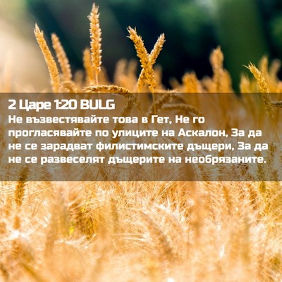 Picture 02 - 2 Царе 1:20 BULG - Не възвестявайте това в - Bible Verse Picture