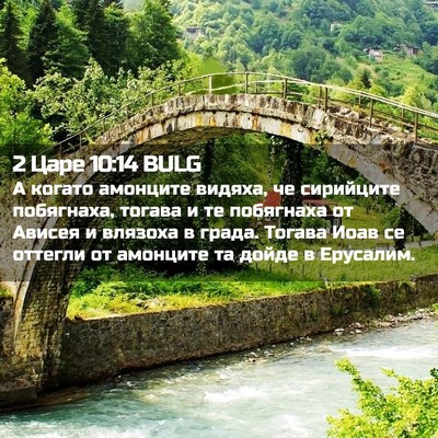 Picture 02 - 2 Царе 10:14 BULG - А когато амонците видяха, - Bible Verse Picture
