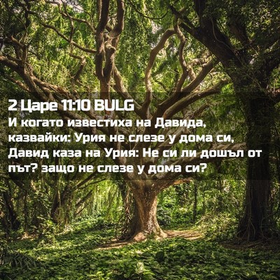 Picture 02 - 2 Царе 11:10 BULG - И когато известиха на - Bible Verse Picture