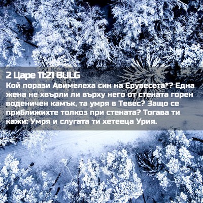 Picture 02 - 2 Царе 11:21 BULG - Кой порази Авимелеха син - Bible Verse Picture