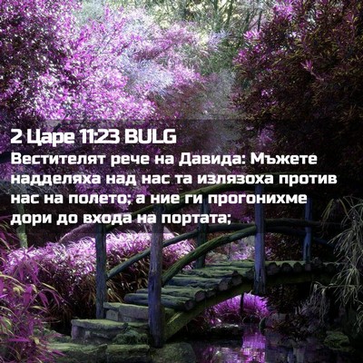 Picture 02 - 2 Царе 11:23 BULG - Вестителят рече на Давида: - Bible Verse Picture