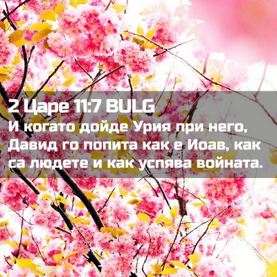 Picture 02 - 2 Царе 11:7 BULG - И когато дойде Урия при - Bible Verse Picture