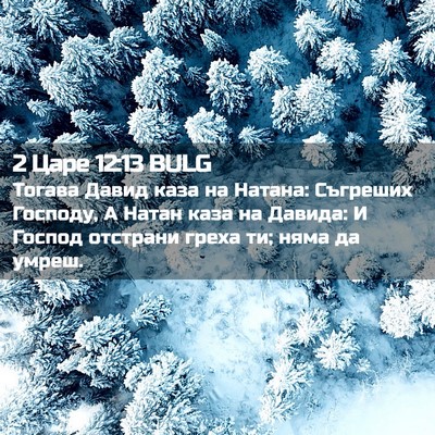 Picture 02 - 2 Царе 12:13 BULG - Тогава Давид каза на - Bible Verse Picture