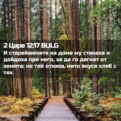 Picture 02 - 2 Царе 12:17 BULG - И старейшините на дома му - Bible Verse Picture