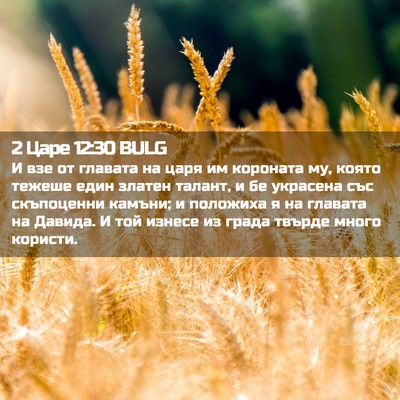 Picture 02 - 2 Царе 12:30 BULG - И взе от главата на царя им - Bible Verse Picture