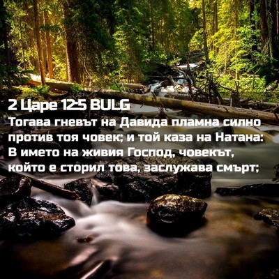 Picture 02 - 2 Царе 12:5 BULG - Тогава гневът на Давида - Bible Verse Picture