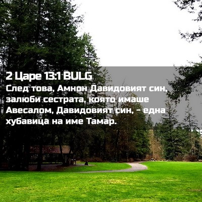 Picture 02 - 2 Царе 13:1 BULG - След това, Амнон - Bible Verse Picture
