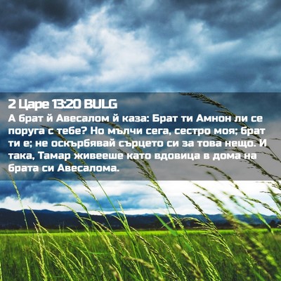 Picture 02 - 2 Царе 13:20 BULG - А брат й Авесалом й каза: - Bible Verse Picture