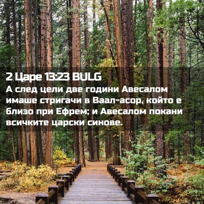 Picture 02 - 2 Царе 13:23 BULG - А след цели две години - Bible Verse Picture