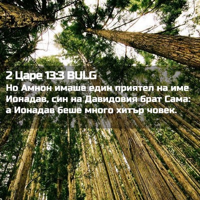 Picture 02 - 2 Царе 13:3 BULG - Но Амнон имаше един - Bible Verse Picture