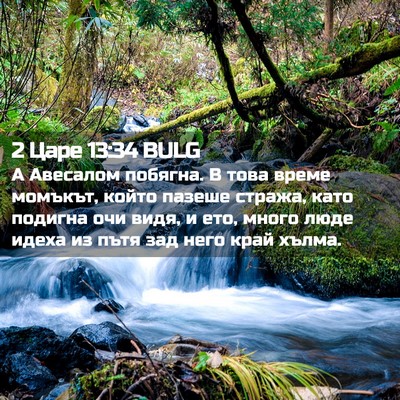 Picture 02 - 2 Царе 13:34 BULG - А Авесалом побягна. В това - Bible Verse Picture