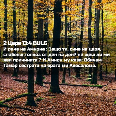 Picture 02 - 2 Царе 13:4 BULG - И рече на Амнона : Защо ти, - Bible Verse Picture