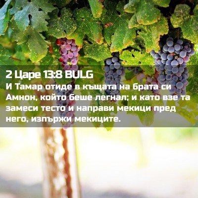 Picture 02 - 2 Царе 13:8 BULG - И Тамар отиде в къщата на - Bible Verse Picture