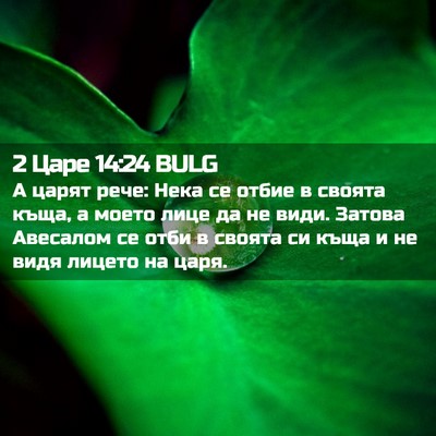 Picture 02 - 2 Царе 14:24 BULG - А царят рече: Нека се отбие - Bible Verse Picture