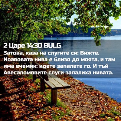 Picture 02 - 2 Царе 14:30 BULG - Затова, каза на слугите си: - Bible Verse Picture