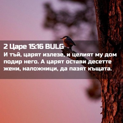Picture 02 - 2 Царе 15:16 BULG - И тъй, царят излезе, и - Bible Verse Picture