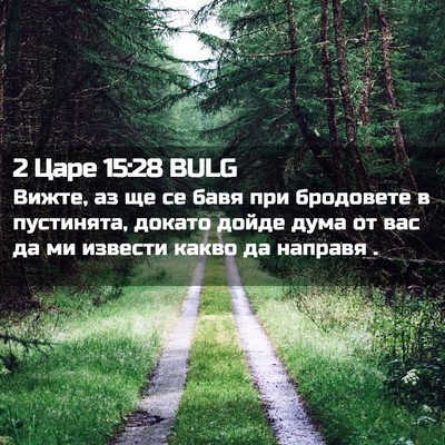 Picture 02 - 2 Царе 15:28 BULG - Вижте, аз ще се бавя при - Bible Verse Picture