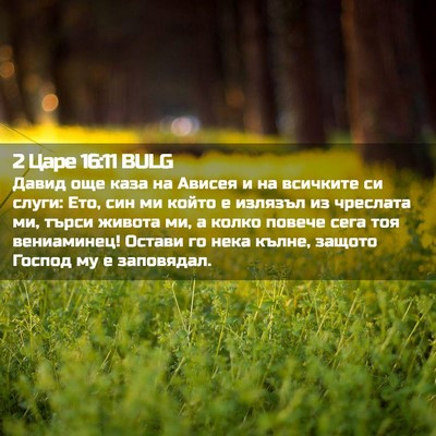 Picture 02 - 2 Царе 16:11 BULG - Давид още каза на Ависея и - Bible Verse Picture