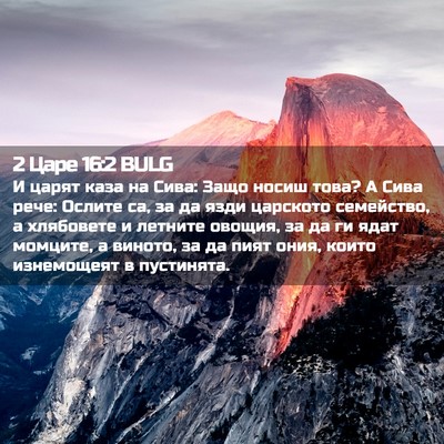 Picture 02 - 2 Царе 16:2 BULG - И царят каза на Сива: Защо - Bible Verse Picture