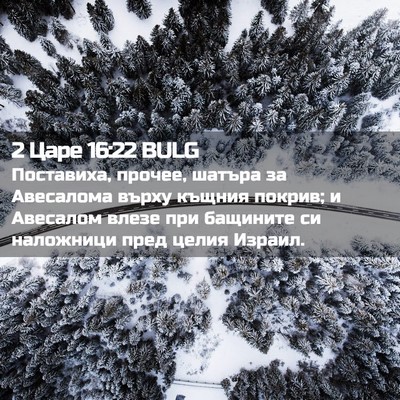 Picture 02 - 2 Царе 16:22 BULG - Поставиха, прочее, шатъра - Bible Verse Picture