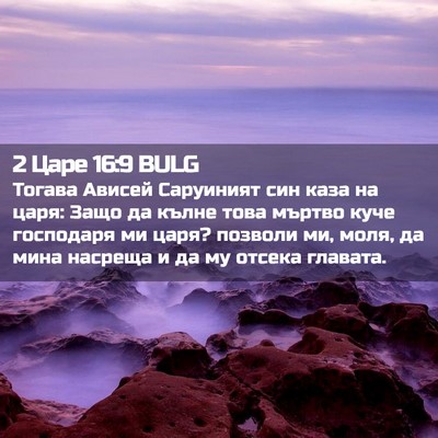 Picture 02 - 2 Царе 16:9 BULG - Тогава Ависей Саруиният - Bible Verse Picture