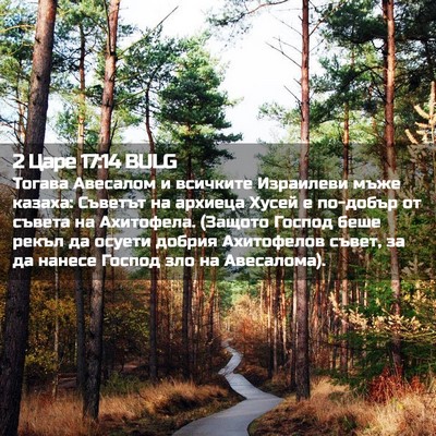 Picture 02 - 2 Царе 17:14 BULG - Тогава Авесалом и всичките - Bible Verse Picture