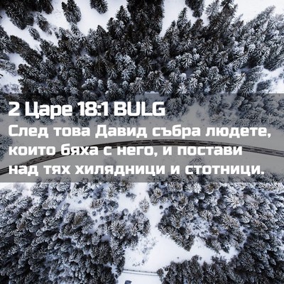 Picture 02 - 2 Царе 18:1 BULG - След това Давид събра - Bible Verse Picture
