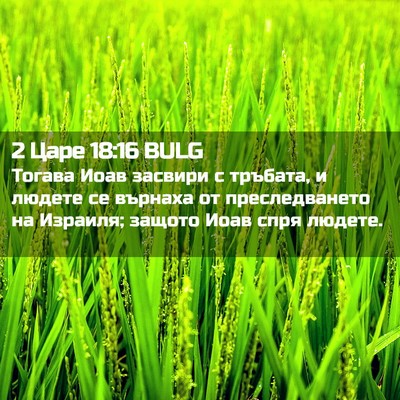 Picture 02 - 2 Царе 18:16 BULG - Тогава Иоав засвири с - Bible Verse Picture
