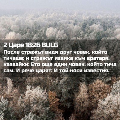 Picture 02 - 2 Царе 18:26 BULG - После стражът видя друг - Bible Verse Picture