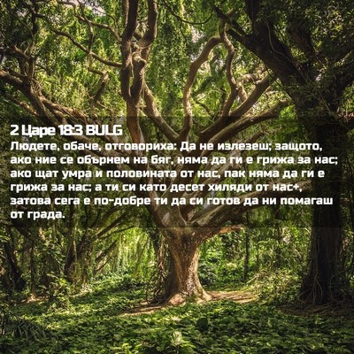 Picture 02 - 2 Царе 18:3 BULG - Людете, обаче, отговориха: - Bible Verse Picture