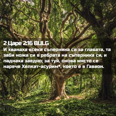 Picture 02 - 2 Царе 2:16 BULG - И хванаха всеки съперника - Bible Verse Picture
