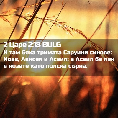 Picture 02 - 2 Царе 2:18 BULG - И там бяха тримата Саруини - Bible Verse Picture