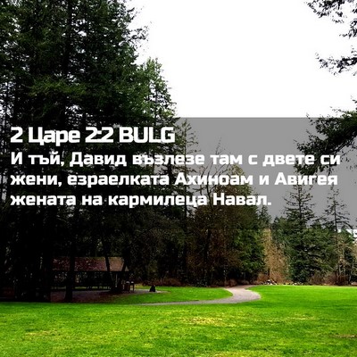 Picture 02 - 2 Царе 2:2 BULG - И тъй, Давид възлезе там с - Bible Verse Picture