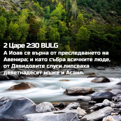 Picture 02 - 2 Царе 2:30 BULG - А Иоав се върна от - Bible Verse Picture