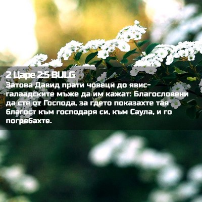Picture 02 - 2 Царе 2:5 BULG - Затова Давид прати човеци - Bible Verse Picture