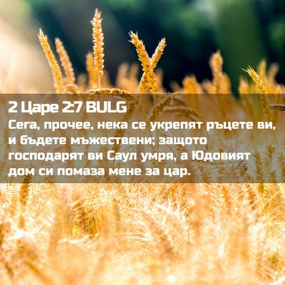 Picture 02 - 2 Царе 2:7 BULG - Сега, прочее, нека се - Bible Verse Picture