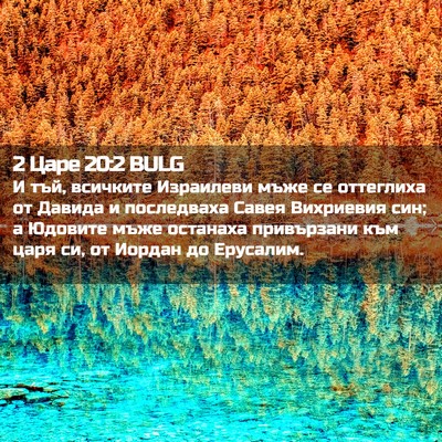 Picture 02 - 2 Царе 20:2 BULG - И тъй, всичките Израилеви - Bible Verse Picture
