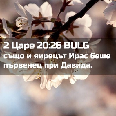 Picture 02 - 2 Царе 20:26 BULG - също и яирецът Ирас беше - Bible Verse Picture